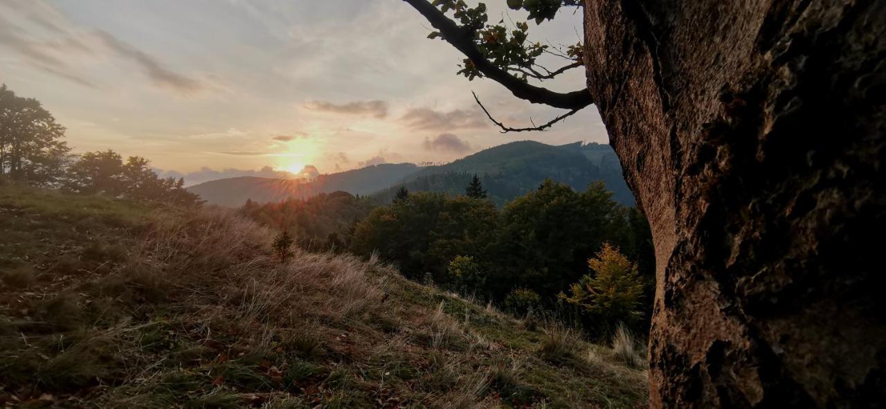 Penzion Rzehaczek Dolní Lomná エクステリア 写真