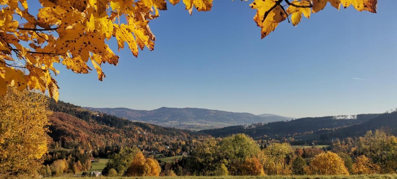 Penzion Rzehaczek Dolní Lomná エクステリア 写真
