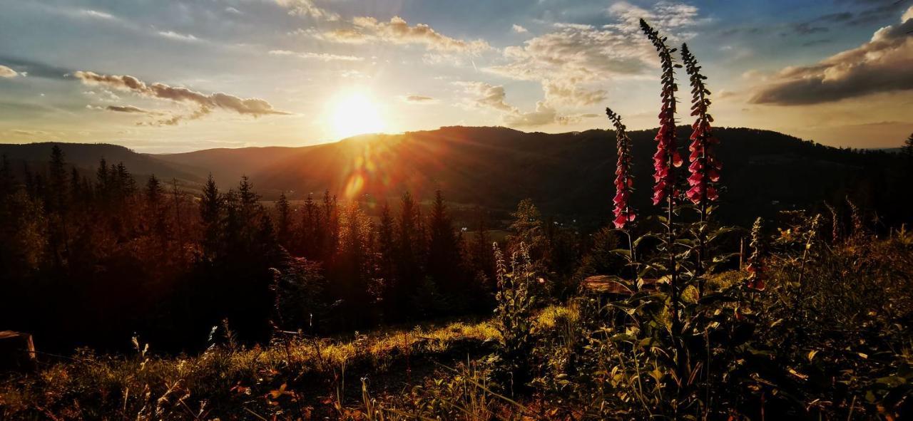 Penzion Rzehaczek Dolní Lomná エクステリア 写真