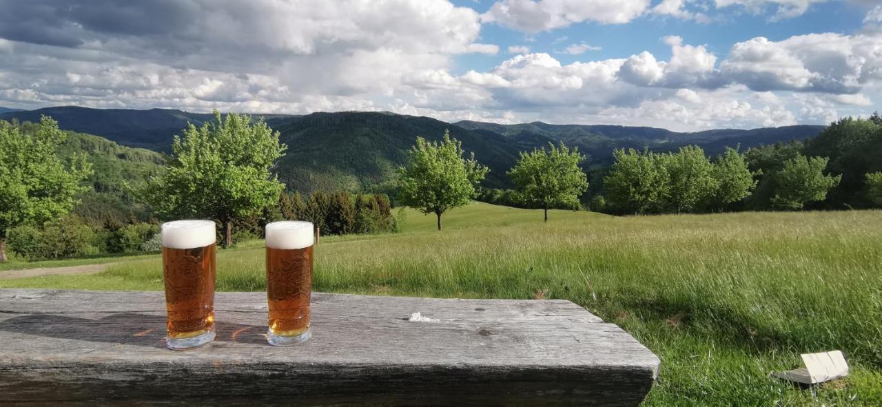 Penzion Rzehaczek Dolní Lomná エクステリア 写真